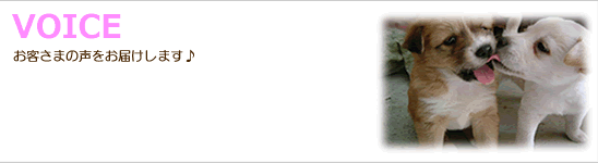 ���q���܂̐������͂����܂���